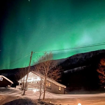 Hundbergan Apartment-Free Parking-15 Min From Tromso Tromsdalen Buitenkant foto
