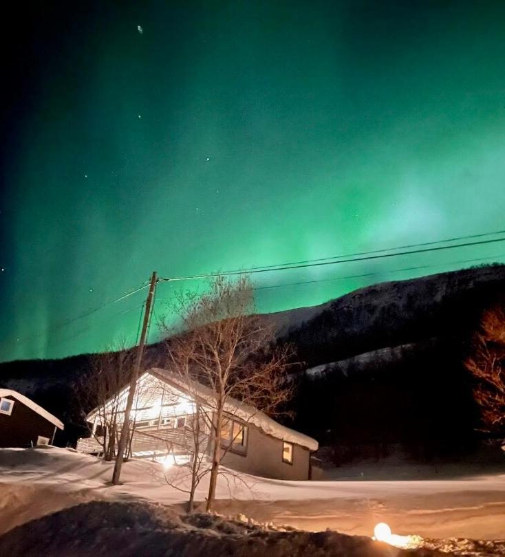 Hundbergan Apartment-Free Parking-15 Min From Tromso Tromsdalen Buitenkant foto